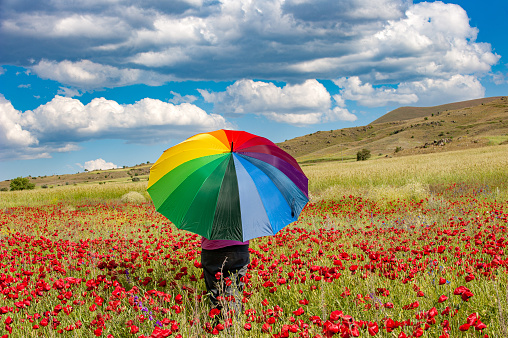 Back turned in a field of poppies\nwoman with rainbow umbrella