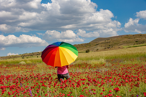 Back turned in a field of poppies
woman with rainbow umbrella