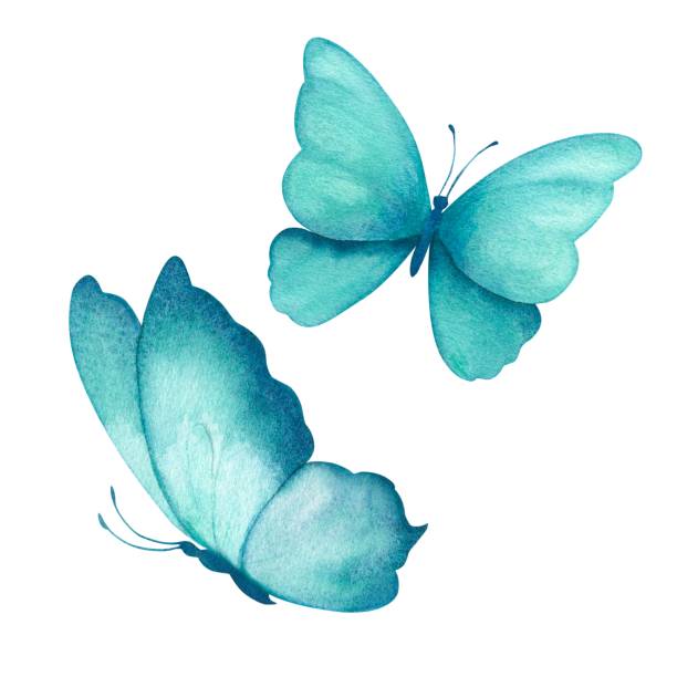 istock Watercolor illustration of delicate turquoise butterflies. Handmade, isolated 2111990556