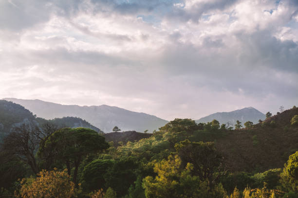 istock Majestic beautiful landscape with trees on mountain range under cloudy sky 2112032023