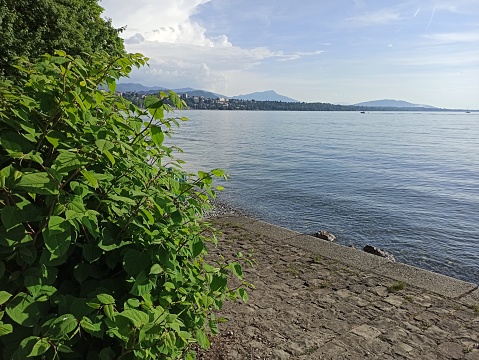 On the shore of Geneva lake, Thonon les Bains, France