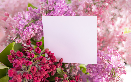 Postcard in lilac on a purple background. Background for cards, invitations, and greetings. Top view, flat lay, copy space. Nature concept