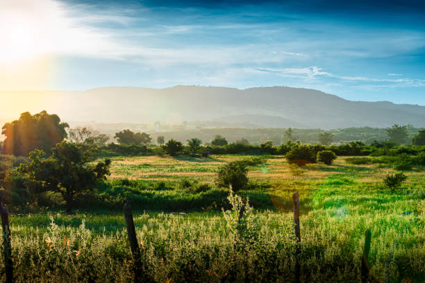 istock Brazilian Mountain Tropical Background Crato 2112065993