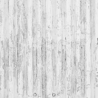 Whitewashed Wooden Texture with a Vintage Feel. A Rustic and Weathered Panel Surface Ideal for Backgrounds