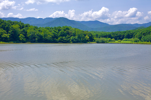 Goseong County, South Korea - July 30, 2019: A tranquil summer day at Hwajinpo Lake, where calm waters reflect the lush greenery of trees and the majestic mountains in the background, embodying the peaceful essence of nature.