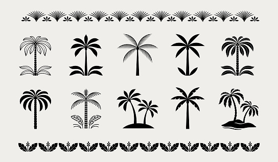 Palm tree icons. Graphic palm tree design elements.