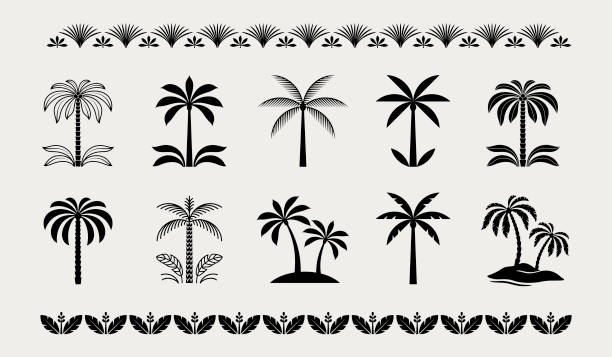Palm Tree Icons Palm tree icons. Graphic palm tree design elements. palm icon stock illustrations