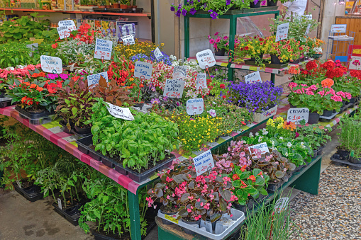 Como, Italy - June 15, 2019: Fresh Flowers Herbs and Plants at Indoor Farmers Market Stall.