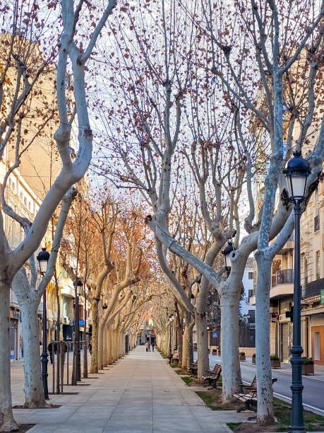 istock Freedom Walk in Albacete, Spain 2112096766