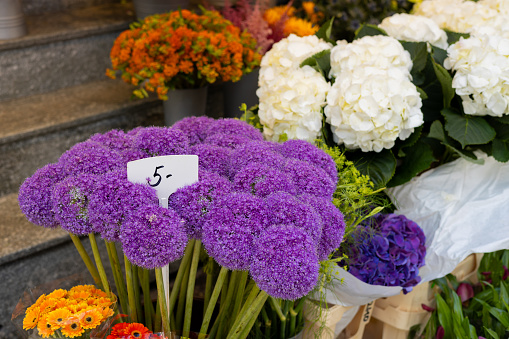 Beautiful colorful flowers Allium Giganteum in flower shop. Various flowers in the street market