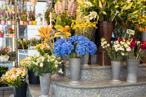 Spring flowers at a market stall