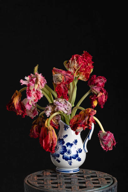 istock Beautiful wilted parrot tulip in a Delfts blue vase. 2112169571