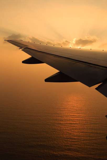 Airplane wings and view from the window