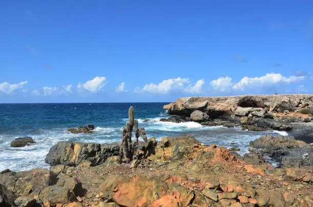 Lavarock and sea cliffs along the shoreline of scenic Aruba.