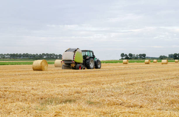 istock a tractor with a baler is making round straw bales at a field 2112224668