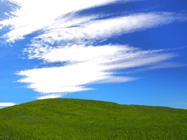 minimalist landscape - halaman kertas foto potret stok, foto, & gambar bebas royalti