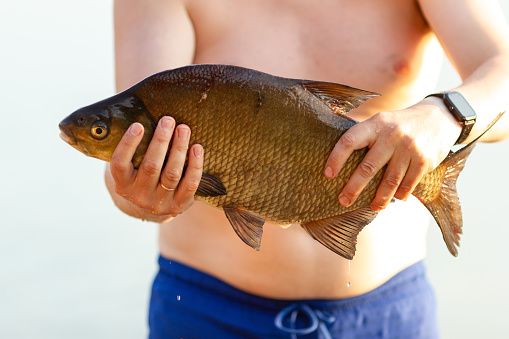 The man caught a large bream, holds it in his hands