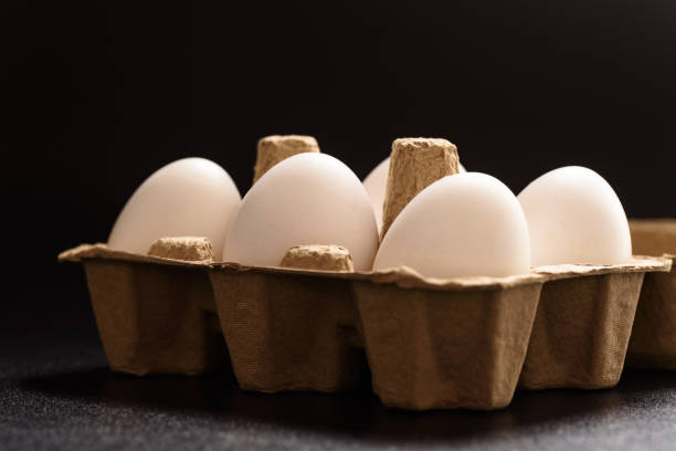 Fresh white organic eggs of the Leghorn breed stock photo