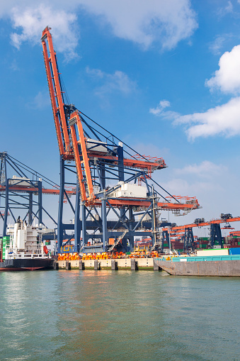 Large gantry cranes - port of Rotterdam - Maasvlakte