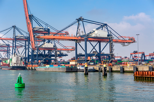 Large gantry cranes - port of Rotterdam - Maasvlakte