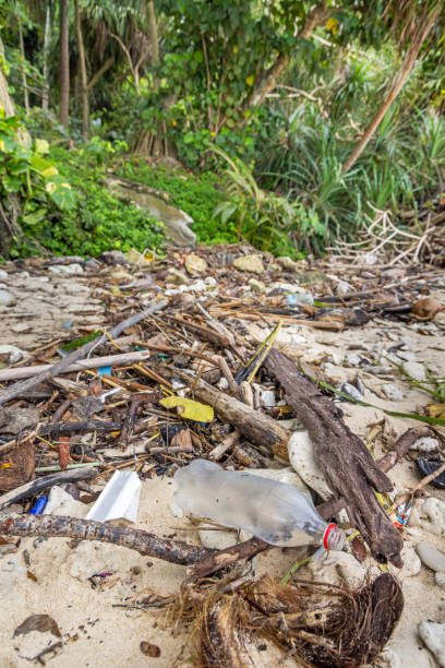 istock Garbage, both natural and man made, washed a shore on a beach 2112311682