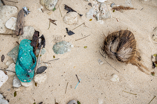 A plastic sandal and a coconut washed up op a beach together outside the city of Sabang which in the main city on the island Weh north of Sumatra