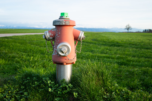 Fire hydrant in a green field, growth lawn meadow outside, water