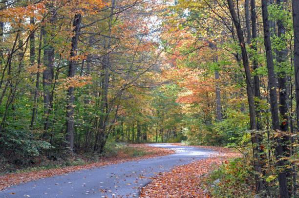 istock Cataract Falls Recreation Area, Spencer, Indiana 2112322207