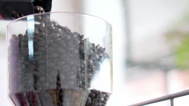 Pour fresh coffee beans into the glass jar of a restaurant coffee grinder.