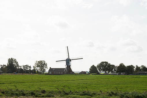 Windmill in Rural Landscape