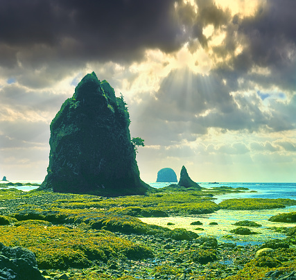 Sunset in Olympic National Park, Washington, USA - coast in the light of the setting sun