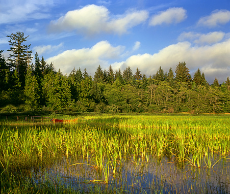 Lake Ozette - Olympic National Park, Washington, USA, World Heritage Site by UNESCO - fairy lake inside the national park