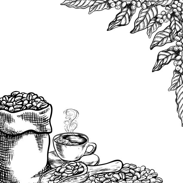 kaffeerahmen mit einer kaffeebohne in einer tüte, kaffeebaumzweigen und einer tasse kaffee, schwarz-weiß-vektorillustration. für verpackungen, logos und etiketten. für banner, flyer, speisekarten und plakate - bean latté pattern frame stock-grafiken, -clipart, -cartoons und -symbole