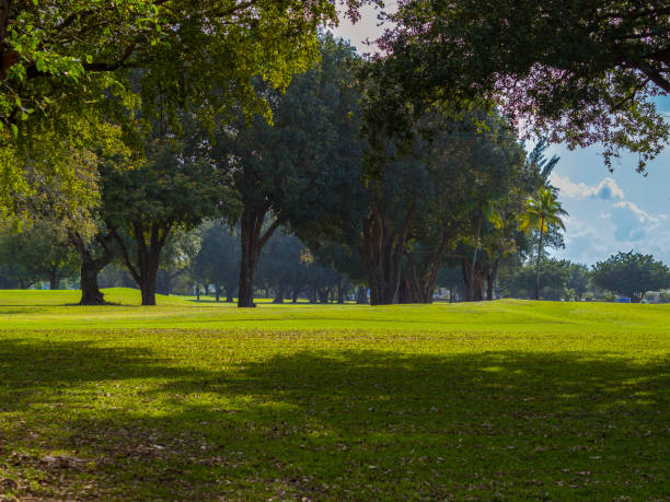 A scenic view of a lush park of Miami Springs Golf Course