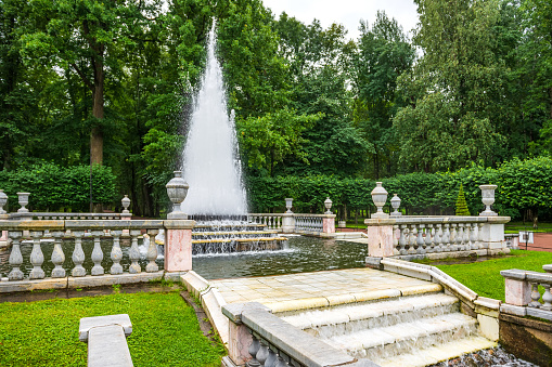 Fountains in Peterhof Park. St. Petersburg. Russia