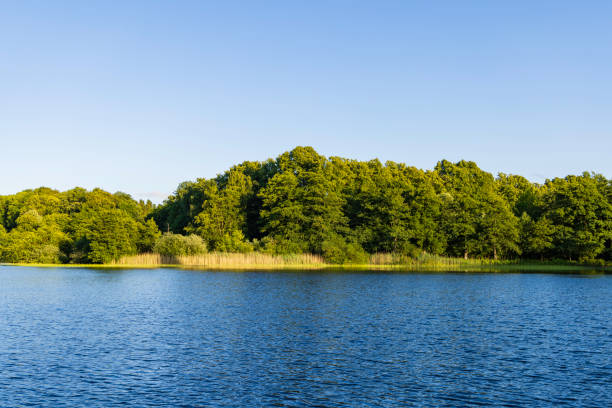 Panoramic view of a beautiful lake near Hamburg (Germany) on a summer day.