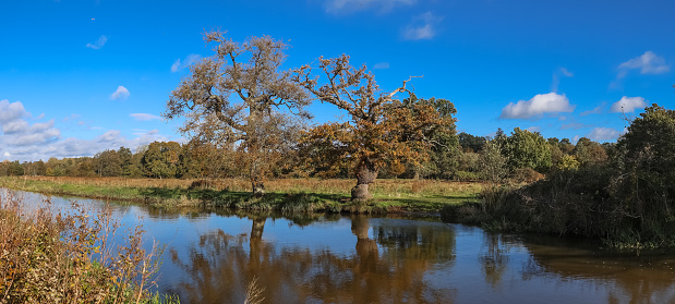 A calm river flows through a sunny, rural, country scene. Taken in Hampshire, England.