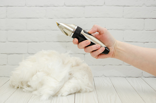 female groomer holds an animal trimmer in her hand against the background of a large pile of clipped white fur