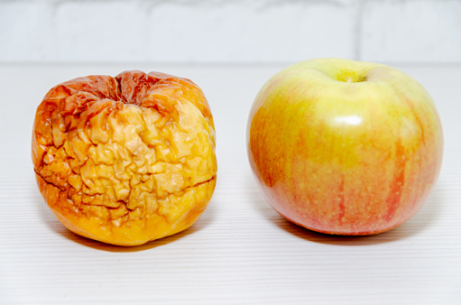 fresh young apple next to a wrinkled old rotten one. Aging process concept, young vs old.
