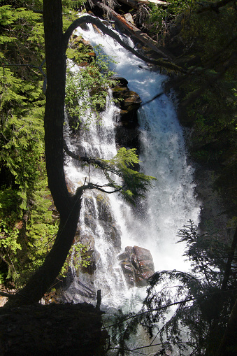 Carter falls, Mount Rainier, Pierce County, Washington State - United State