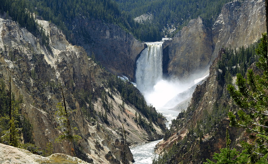 Lower Falls, Yellowstone Wyoming - United States