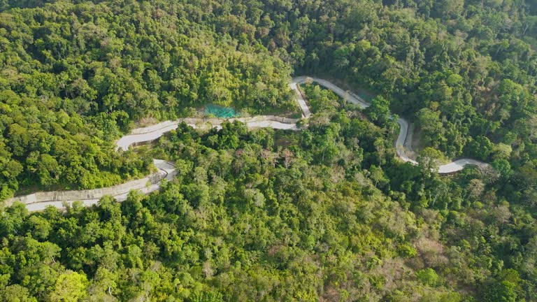 Palawan’s Zigzag Road A Panoramic Forest Aerial Sweep