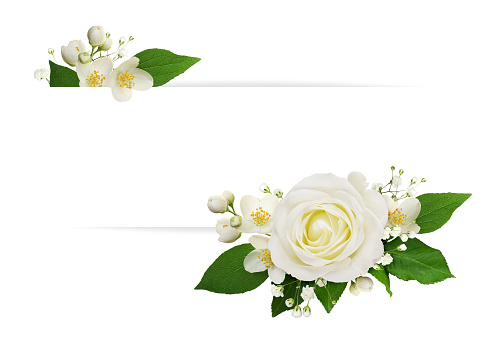 White rose, jasmine (Philadelphus) and gypsophila flowers in a floral arrangement with white card for text isolated on white background