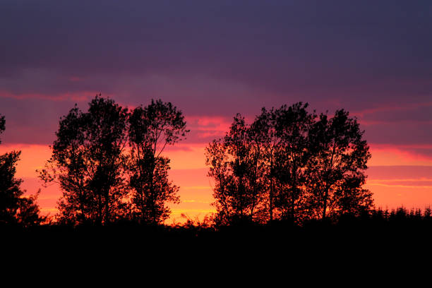 The sky looks like a color bar at sunset in pastel colors