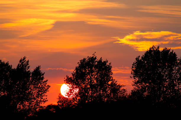 istock The sun sets colorfully behind the trees 2112488078