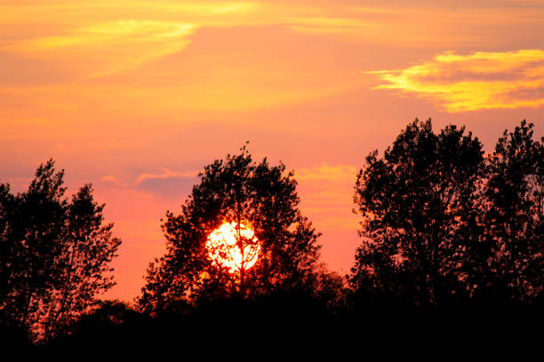 istock The sun shines through the trees 2112488324