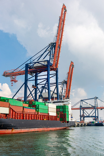 Large gantry cranes - port of Rotterdam - Maasvlakte