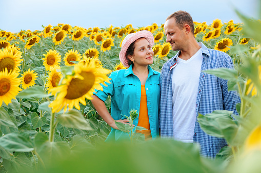 Young people farmers a guy and a girl are standing in a field with sunflowers and smiling happy. There is hat on the girls head. Both are wearing shirts. They are young agronomists. Sunflower and copy space.