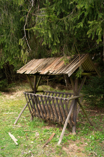 istock Wooden feeder for forest animals 2112589989