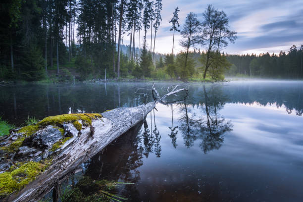 istock Cold mountain lake with tree trunk in the water 2112596818